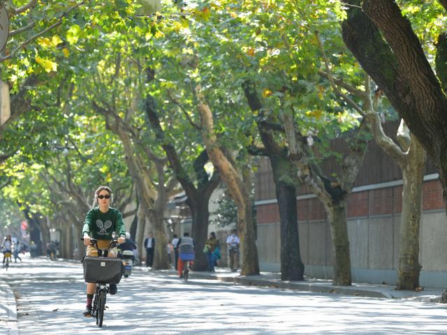 上海“花园弄堂”新生记